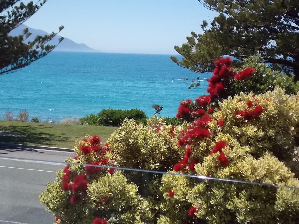 The Hamptons Bed and Breakfast Kaikoura Rum bild